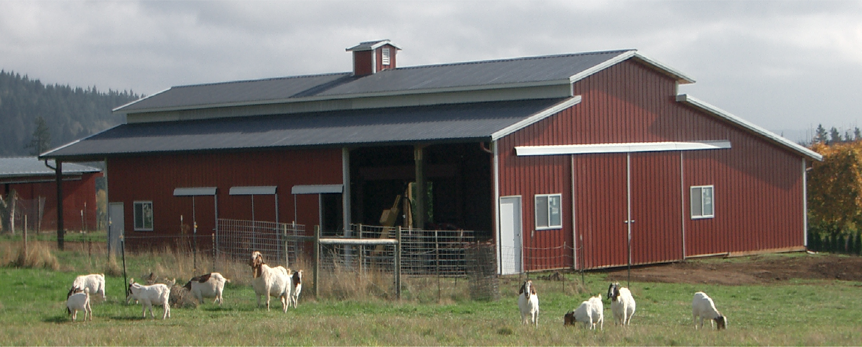 Large red barn with nice architectural features and cows in the foreground